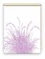 Preview: Rollo Reed24 flieder blanco, Rollo, Motivrollo, Rollo mit Druck, Fotorollo, bedrucktes Rollo, Fensterrollo,verdunkelndes Rollo, Sonnenschutz Rollo
